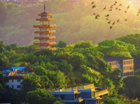 Eling Park (鹅岭公园)