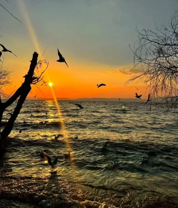 Dianchi Lake Sunset (滇池日落)