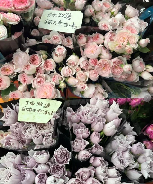 Dounan Flower Market (斗南花卉市场)