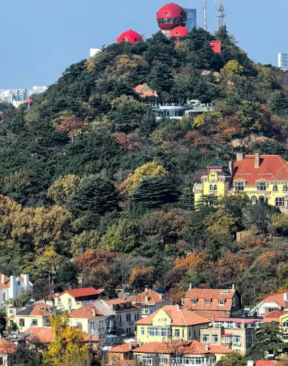 Signal Hill Park (信号山公园)