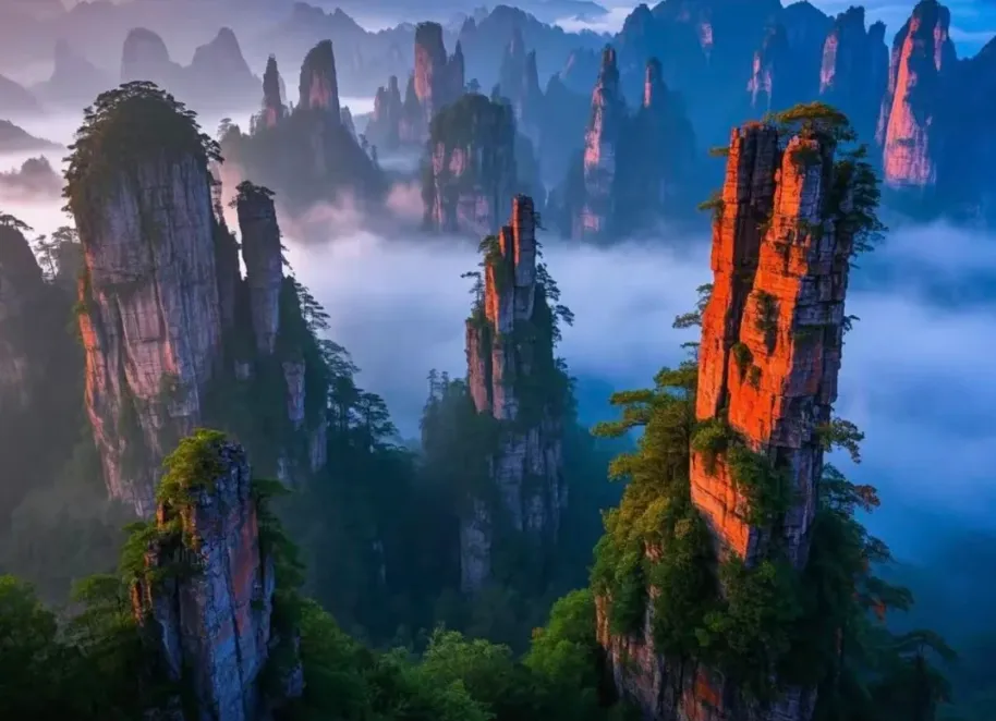 4. Tianzi Mountain (The King of Peaks)
